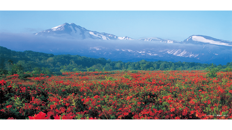 北東北の自然 - 秋田活版印刷株式会社